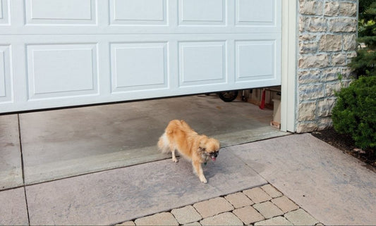 How to Test the Reverse Safety Systems of Your Genie Garage Door Opener