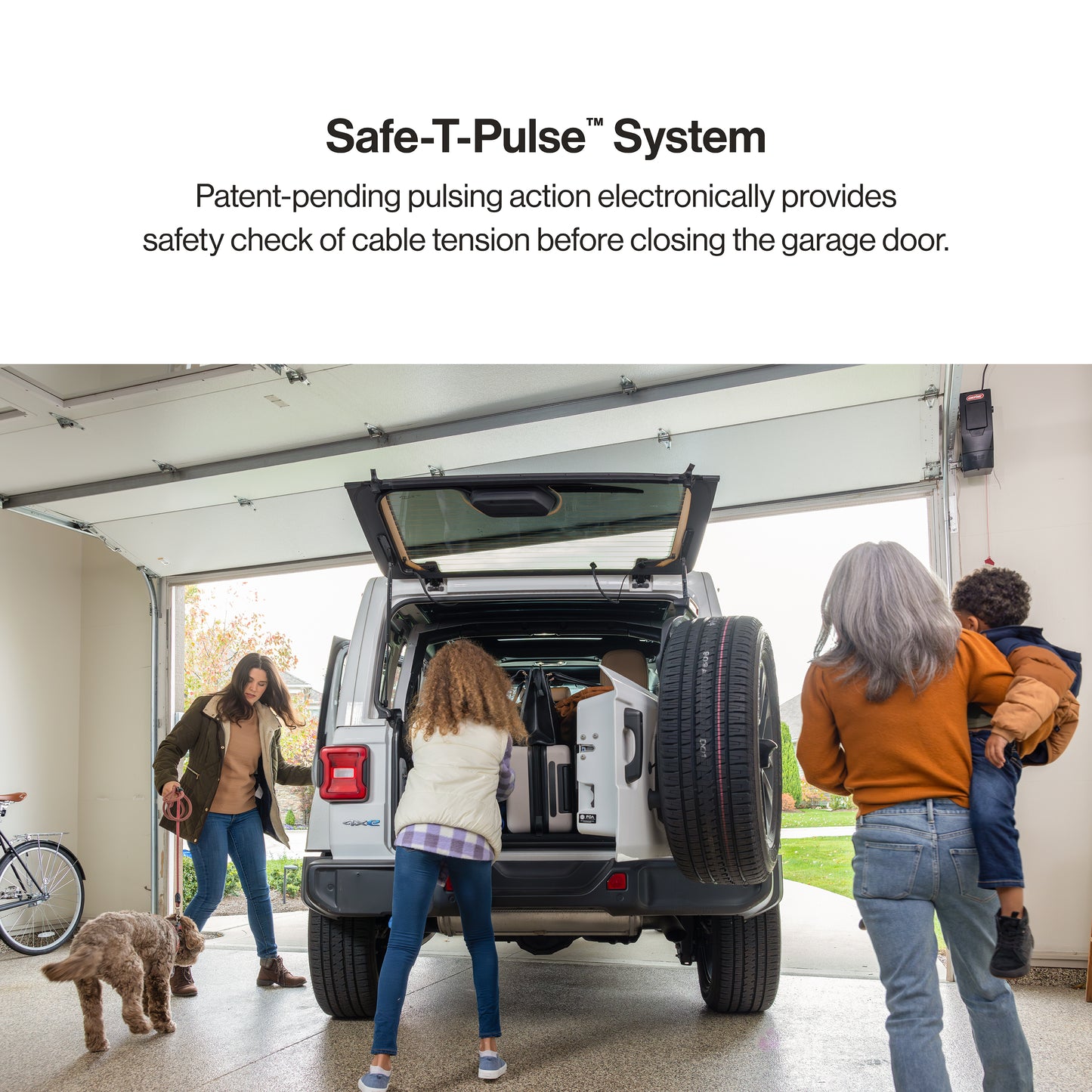 Safe-T-Pulse system on the wall mount garage door opener